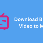 download bilibili video to mp4