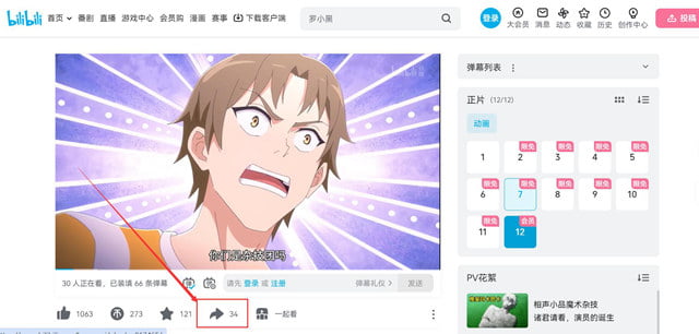 Bilibili website